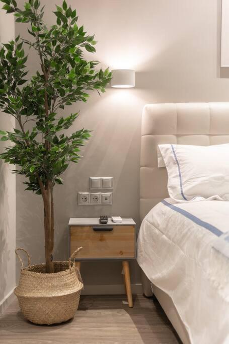 A11 Pristine & Comfy Studio Near Plaka & Parthenon Atenas Exterior foto